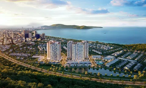 Giải bài toán an cư cho người trẻ tại TP Quy Nhơn