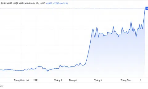 Đại gia ngành gạo muốn làm dự án bất động sản hơn 1.400 tỷ đồng