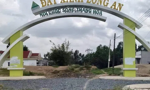 ‘Đau đầu’ vấn nạn nhái thương hiệu các doanh nghiệp lớn trong ngành bất động sản