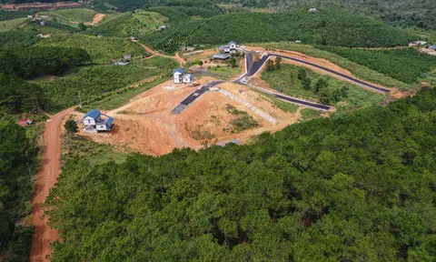 Không thể tưởng tượng: Cả một đô thị nghỉ dưỡng... lậu giữa rừng