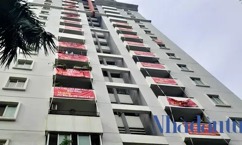 Bất cập trong cấp sổ đỏ tại TP.HCM - Bài 1: Cư dân ‘mòn mỏi’ chờ sổ đỏ