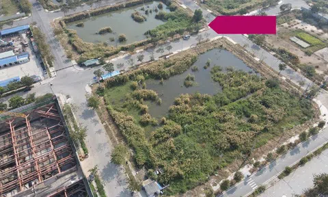 Kịch tính đấu giá lô thứ 2 hơn 8.500m2 ở Thủ Thiêm, thu gấp 4 lần giá khởi điểm