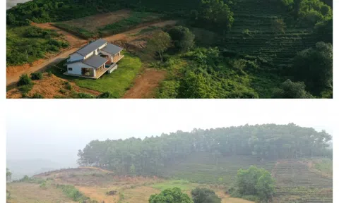 Muốn bỏ phố về rừng nhưng thích thiết kế nhà rẻ, thi công nhanh: Đó là tư duy sai lầm!