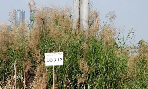 Liệu Tân Hoàng Minh có bỏ cọc trong vụ đấu giá đất Thủ Thiêm khi hạn ký hợp đồng đã đến?