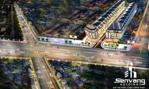 Dự án ma Sen Vàng Town được Bình Chánh “ưu ái” cấp phép xây dựng trên đất trồng lúa?