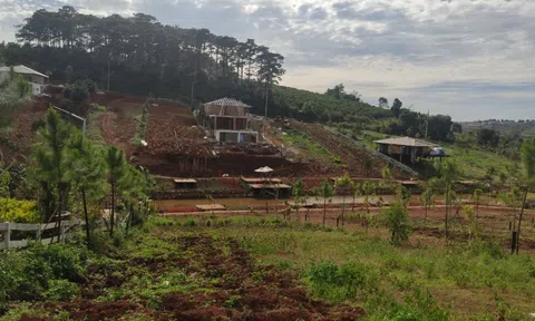 Kinh doanh bất động sản từ năm 2022 phải thành lập doanh nghiệp, hợp tác xã