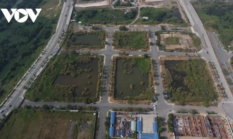 Tân Hoàng Minh và FLC đang coi luật pháp là trò đùa?