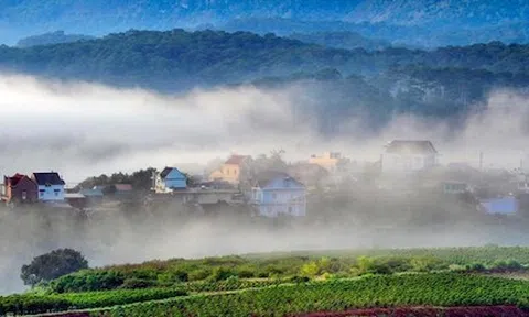 Tập đoàn Tân Hoàng Minh được giao nghiên cứu quy hoạch khu du lịch, đô thị hơn 4.300 ha tại Đà Lạt