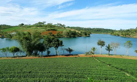 "Bất động sản Bảo Lộc đã bớt nóng"