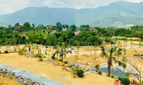 Khách từ Hà Nội mua đất nền cách ngàn km không cần xem thực tế: Đất nền là 'vua' nhưng đừng thấy ‘sốt’ là ‘nhảy’ vào mua