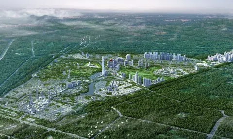 Tập đoàn FLC muốn xây khu đô thị 1.200 ha và tòa tháp 99 tầng tại Bình Chánh