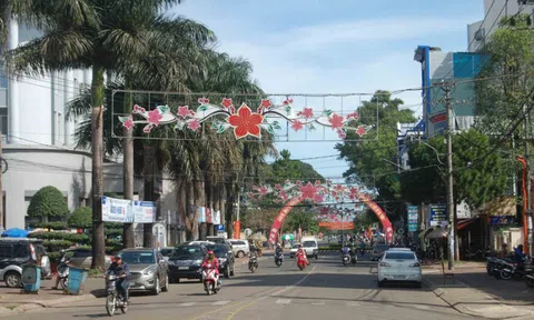 Gia Lai đấu giá lần 2 khu đất hơn 26.000m2, khởi điểm gần 52 tỷ đồng