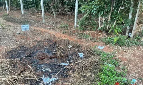 Đắk Lắk: Sốt đất cả ao suối, xứ núi mà cầm nửa tỷ đi mua đất cũng... chịu