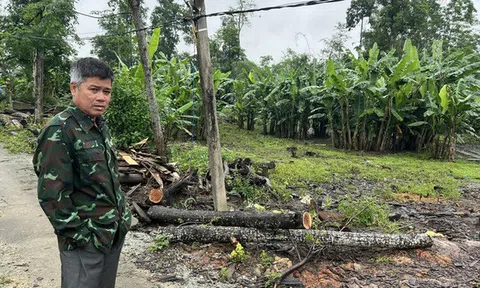 Tỉnh Thừa Thiên – Huế đính chính vụ lô đất xa TP có giá 45 triệu đồng/m2