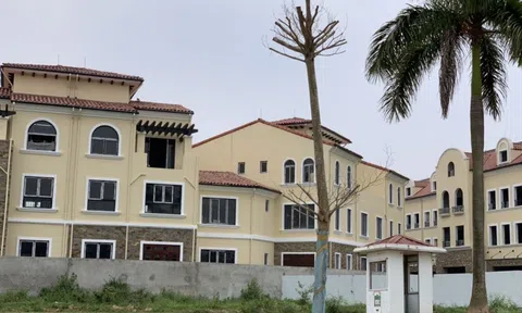 Nhà đầu tư bất động sản nào sẽ bình yên đi qua mùa giông bão?