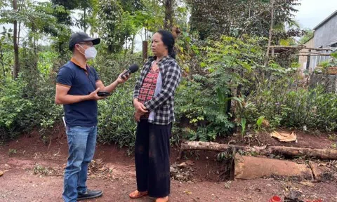 Sốt đất Tây Nguyên vừa cắt, lộ ra loạt chủ đất ngã ngửa vì mất trắng đất thổ cư dù chỉ giao dịch đất vườn