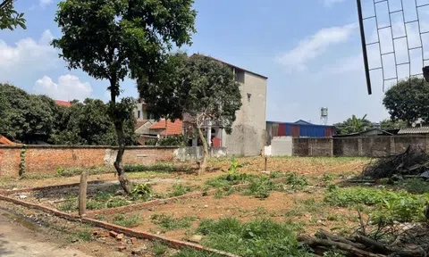 Chuyện lạ có thật: Một miếng đất, môi giới ẵm phí tới 8- 10 lần