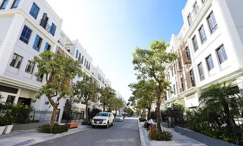 Đất nền "hạ nhiệt", biệt thự, nhà liền kề chiếm sóng thị trường bất động sản