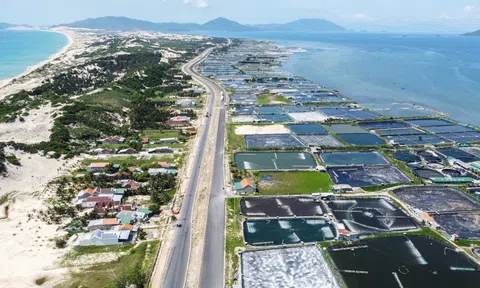 Đất Vân Phong rục rịch tăng giá sau khi 'vỡ bong bóng'