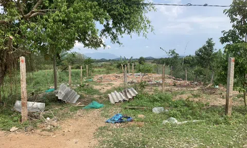 Đất Bắc Vân Phong tăng giá trở lại, chạm đỉnh sốt năm 2018