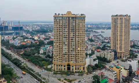 Đình chỉ đơn vị kiểm toán công ty thành viên Tân Hoàng Minh