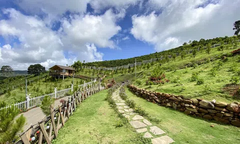 Xử phạt chủ khu đất mà Ngọc Trinh 'khoe' đã mua