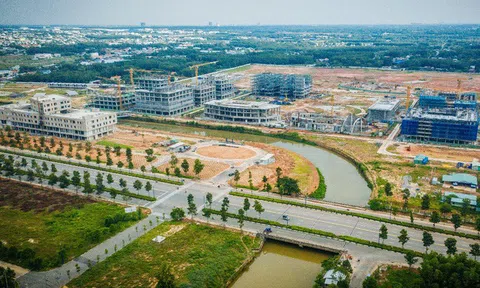 Bình Dương truy tìm Tổng giám đốc công ty bất động sản Thuỷ Phát Land