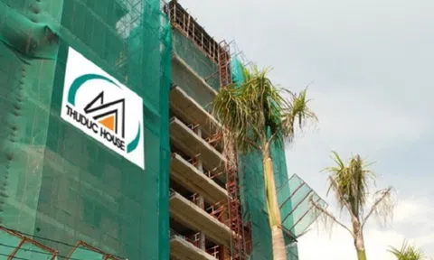 Cổ phiếu TDH bị đưa vào diện kiểm soát đặc biệt