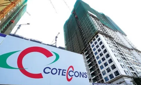 Coteccons lần đầu tiên biết mùi thua lỗ, doanh thu thấp nhất 8 năm