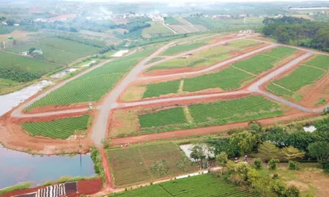 Lâm Đồng ra quy định mới, cá nhân liệu có được phân lô cả quả đồi 30 - 50ha đất?