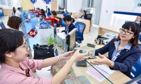 Chủ tịch HoREA đề xuất mọi thanh toán giao dịch bất động sản phải qua ngân hàng