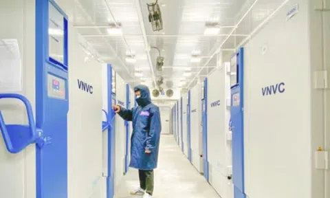 Kho lạnh trở thành thị trường màu mỡ cho BĐS công nghiệp khi nhu cầu dự trữ lương thực và bảo quản vaccine tăng mạnh