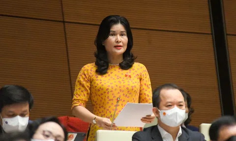 ĐBQH lo ngại về bong bóng chứng khoán, bất động sản khi nguồn thu từ lĩnh vực này tăng đột biến