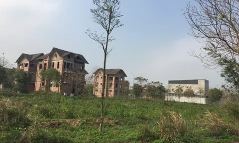 3 sở của Hà Nội vào cuộc xử lý các dự án bỏ hoang “đất vàng”