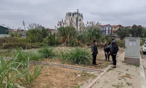 F0 vỡ mộng làm giàu ngay lần đầu bỏ tiền vào bất động sản, lỗ gần nửa tỉ đồng và rơi vào trầm cảm