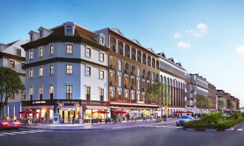 Hay tin Vingroup trúng thầu, loạt đất cạnh dự án tăng chóng mặt