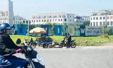 Một doanh nghiệp nợ hơn 4.664 tỷ đồng tiền sử dụng đất