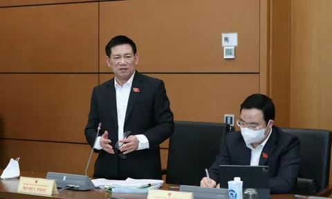 'Đấu giá đất ở Thủ Thiêm là điển hình làm nhiễu loạn thị trường'