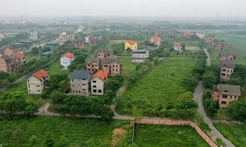 Hà Nội tổng rà soát dự án nhà ở, khu đô thị mới còn bỏ hoang để tránh gây lãng phí