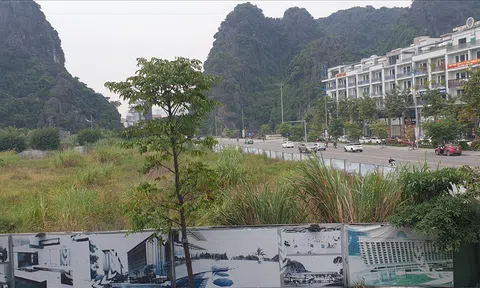 Doanh nghiệp 2 tháng tuổi chi 1.200 tỷ “thâu tóm” 32 ha đất xây khu đô thị ở Quảng Ninh