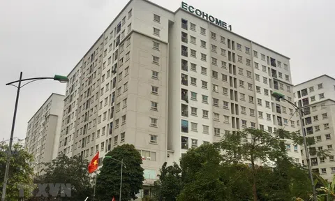 Hàng trăm căn hộ Ecohome “bỏ hoang” giữa lòng Thủ đô