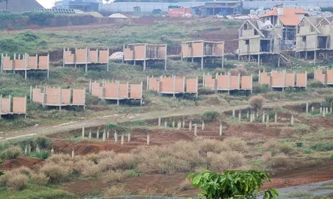 “Sốt đất” giúp Lâm Đồng “sang tay” hơn 36.500 lô trong năm 2021