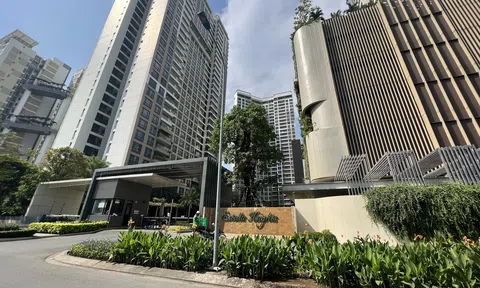 'Nội chiến' tại chung cư Estella Heights