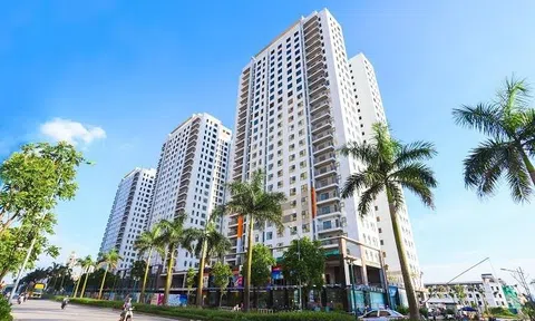 “Ông trùm” môi giới lãi lớn trong năm 2021