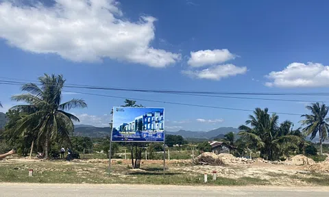 Vẽ dự án 'ma' trên đất rừng để chào bán