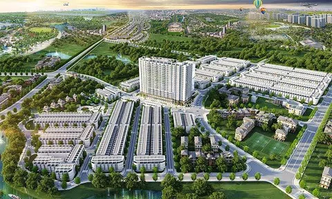 Danko “đặt một chân” vào dự án khu đô thị hơn 3.600 tỷ ở Thanh Hoá