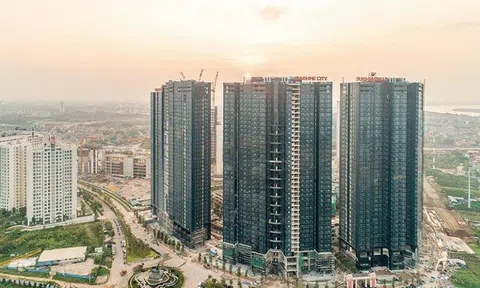 Doanh nghiệp địa ốc của tỷ phú mới nổi lãi lớn trong năm COVID hoành hành