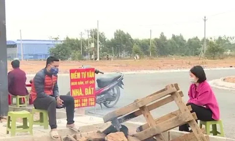 Quy định mới xử phạt loạt hành vi của 'cò đất', môi giới bất động sản