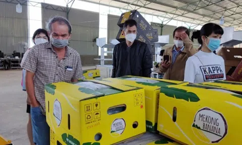 Huỷ niêm yết HAG: UB Chứng khoán Nhà nước không nên cứng nhắc!