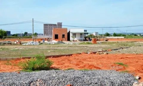 Bình Thuận: Phạt tù 10 cựu cán bộ, nhân viên do sai phạm đất đai